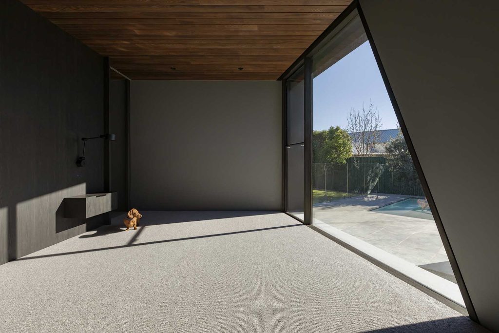 Habitación moderna con gran ventanal, luz natural y un pequeño perro sentado en el suelo